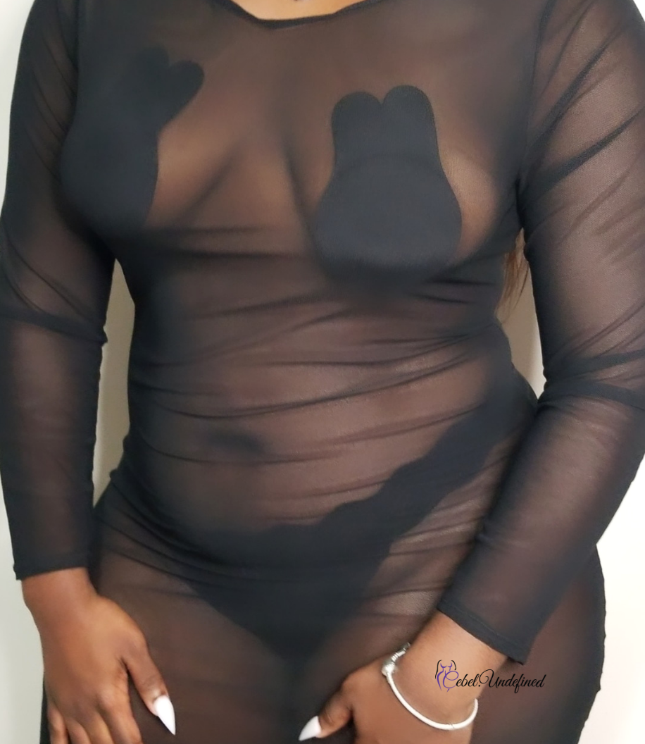 "Sheer Madness"  dress